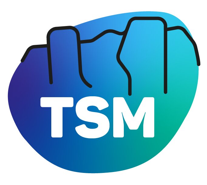 TSM-10K