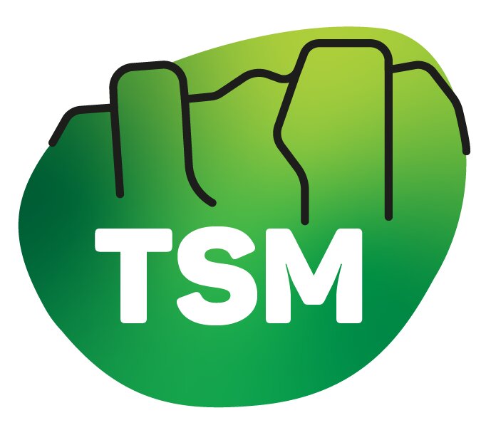 TSM-24
